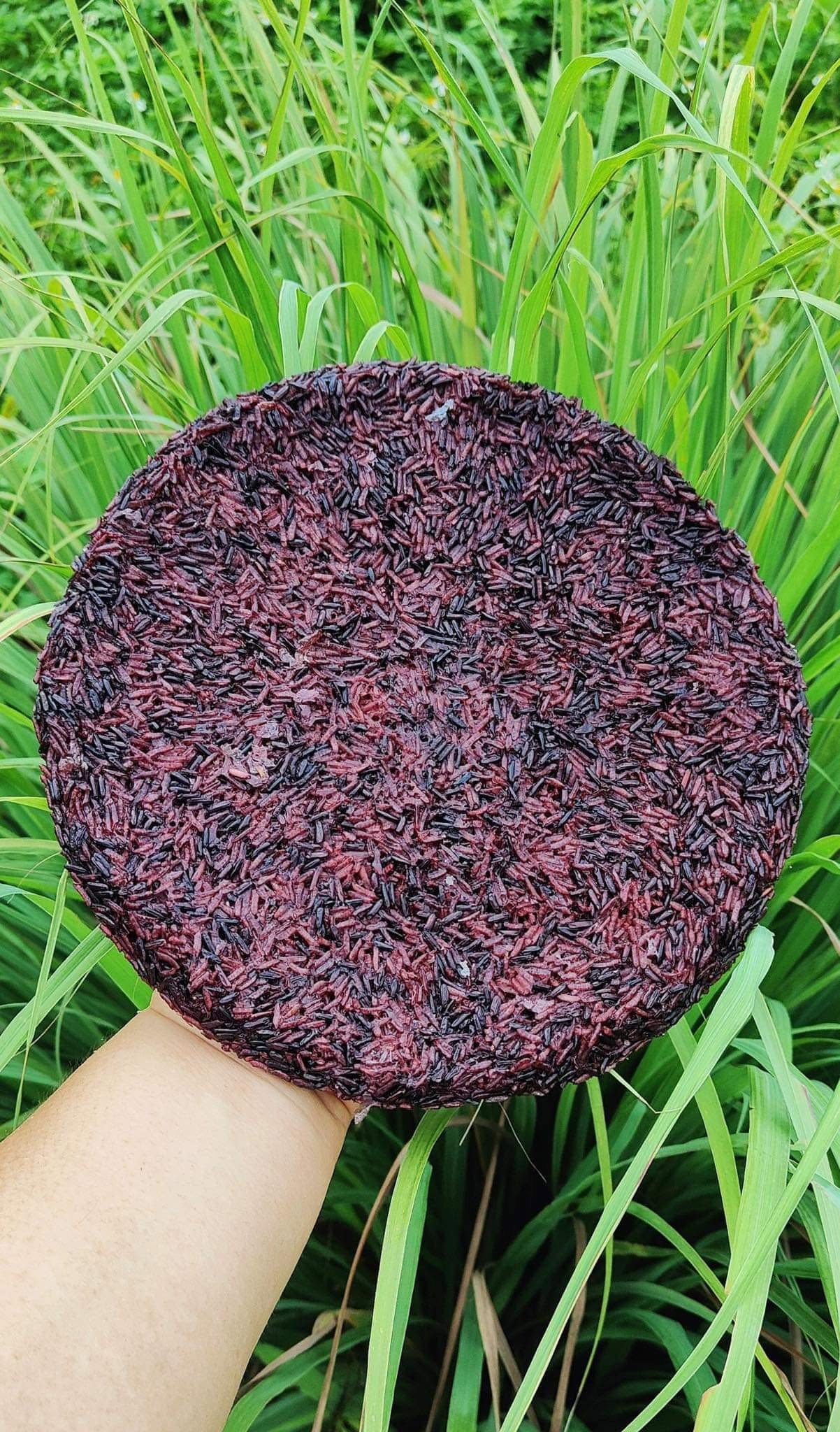 Cơm cháy lứt giòn Hà Nội sốt ruốc đậm vị  (Gói) - Ảnh phụ 1